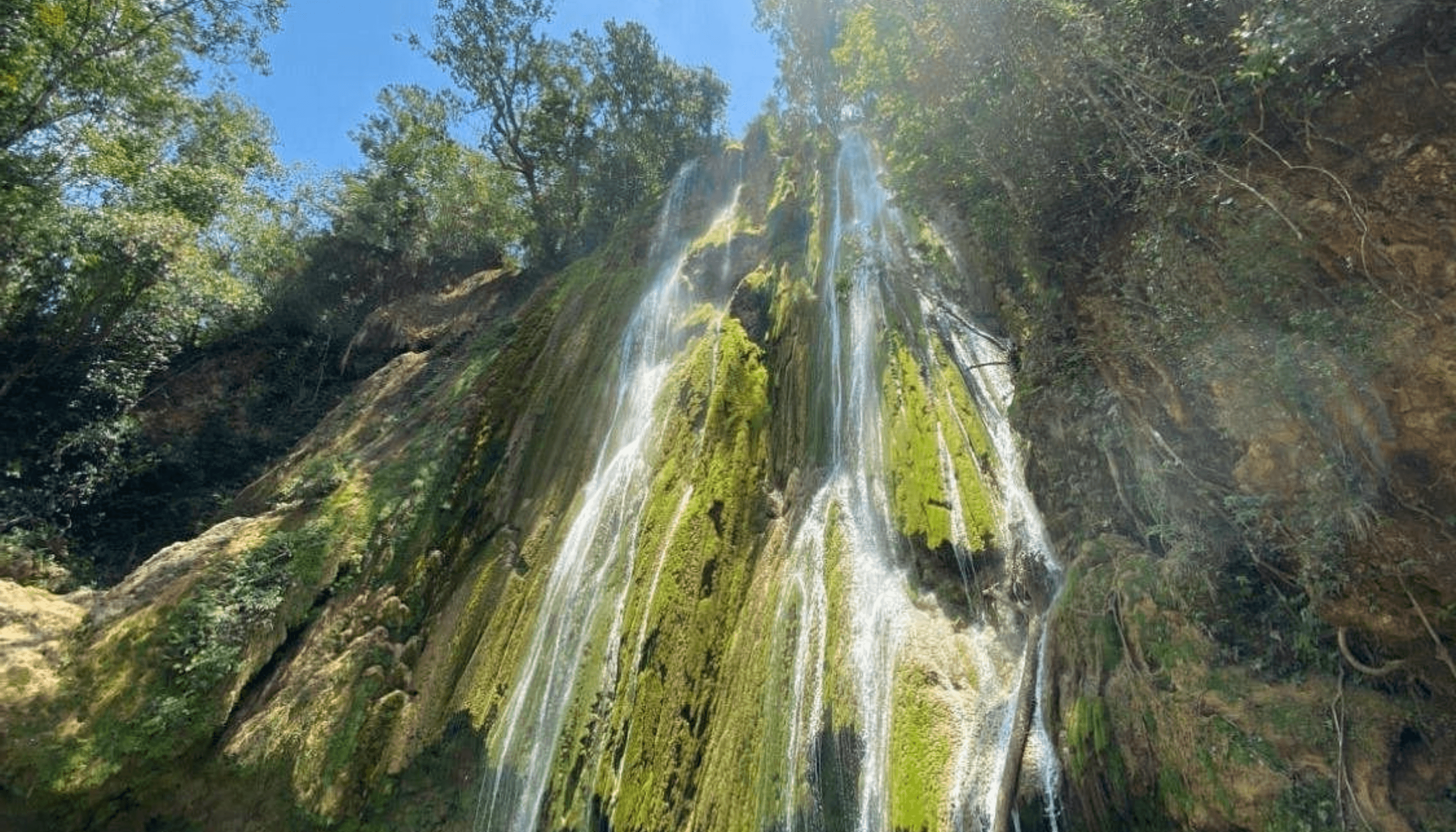 Samaná Waterfalls & El Salto del Limón - Punta Cana tour | Book today and pay on arrival with DR All Season Travel