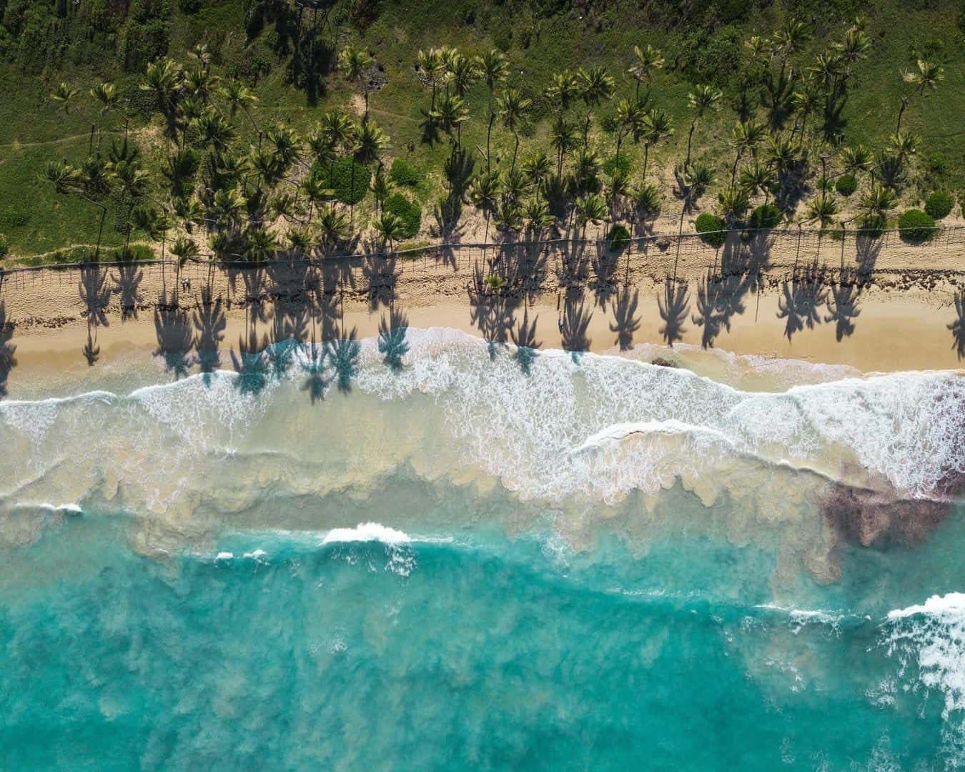 Punta Cana Beach Day - Punta Cana excursion | Book today and pay on arrival with DR All Season Travel