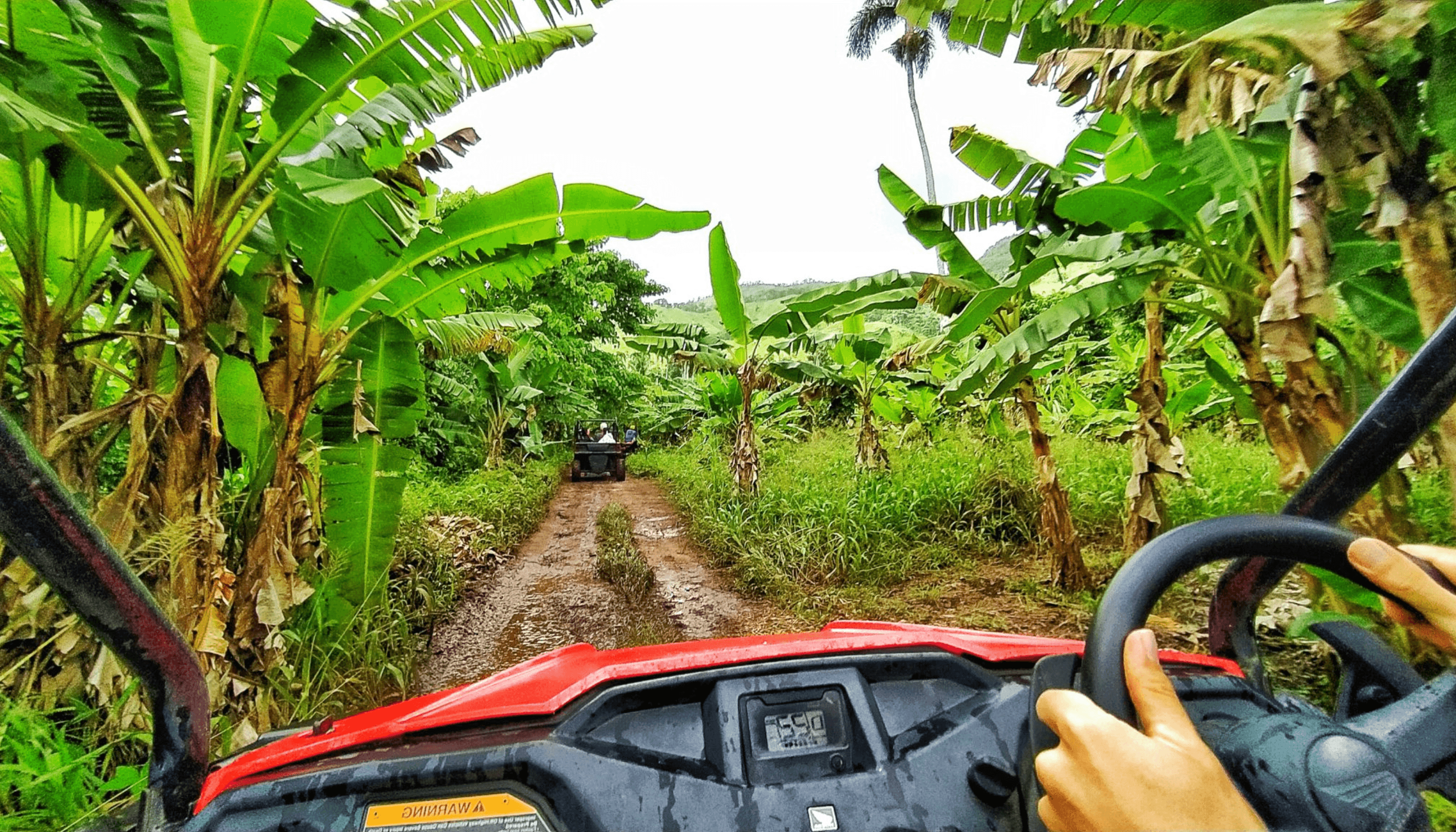 Dune Buggies Adventure - Image 1