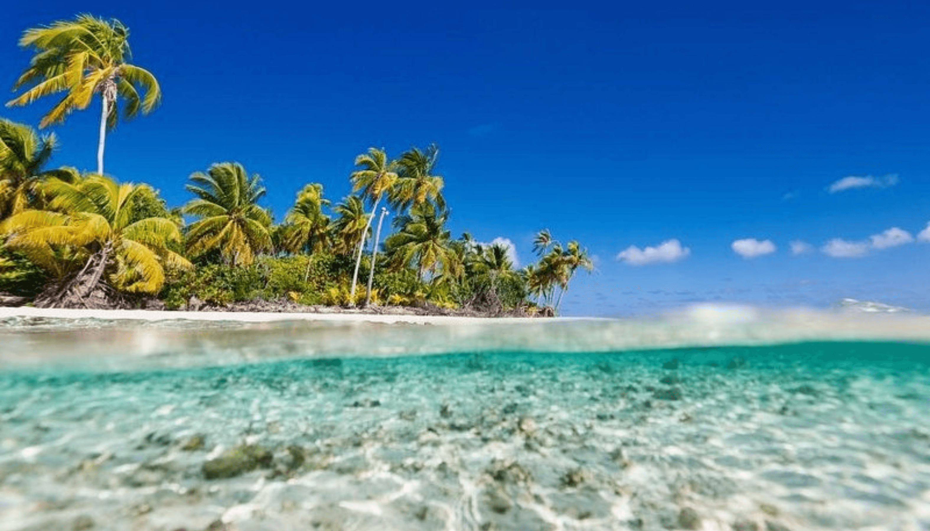 Isla Saona - Image 1
